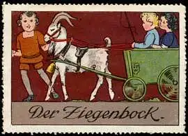 Der Ziegenbock