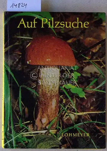 Lohmeyer, Till Reinhard: Auf Pilzsuche. 