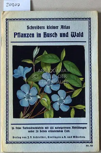 Schreibers kleiner Atlas Pflanzen in Busch und Wald. 