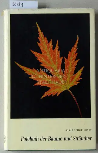Schweighart, Oskar: Fotobuch der Bäume und Sträucher zum Bestimmen nach Blattmerkmalen. 