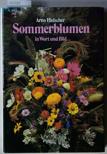 Hielscher, Arno: Sommerblumen in Wort und Bild. 