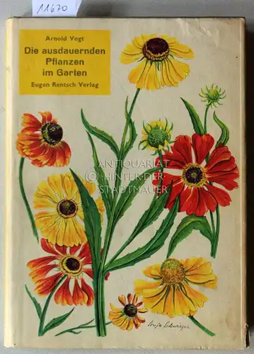 Vogt, Arnold: Ausdauernde Pflanzen im Garten. Vorw. von Wilhelm Schacht. 