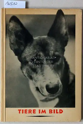 Peltzer, Fritz (Hrsg.): Tiere im Bild. 