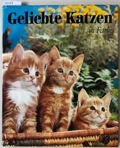 Praetorius, Renate: Geliebte Katzen. Ein Bildband mit sorgfältig ausgewählten Meisterfotos. Vorwort, Text und Bildlegenden von. 