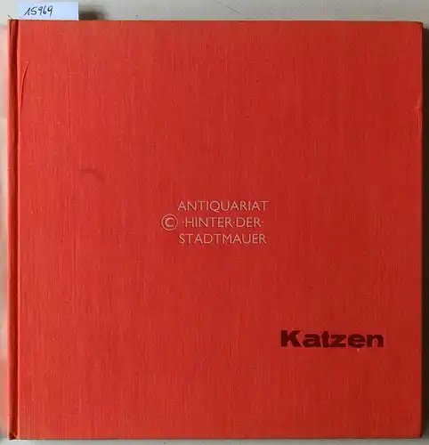 Styczynski, Jan: Katzen vor dem Objektiv. 
