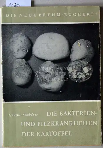 Sembdner, Günther: Die Bakterien- und Pilzkrankheiten der Kartoffel. [=  Die Neue Brehm-Bücherei Heft 241]. 
