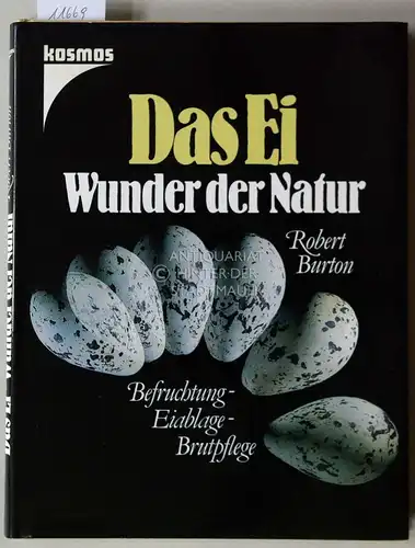 Burton, Robert: Das Ei - Wunder der Natur. Befruchtung - Eiablage - Brutpflege. (Aus d. Engl. übers. von Christoph Arndt). 