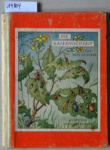 Beintker, Käte: Die Käferhochzeit. Bilder v. Hermann Blömer. 