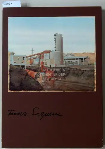 Pfeiffer, Andreas (Hrsg.): Franz Sequenc. Arbeiten 1970-1980. Werkmonografie. [= Heilbronner Museumskatalog, 15]. 