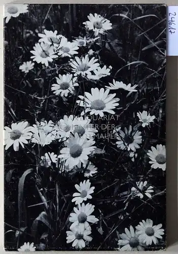 Walter, Hans (Hrsg.) und Karl (Fot.) Jud: Verzauberter Alltag. [= Kleine Kostbarkeiten der Aldus Manutius Drucke, 24. Druck]. 