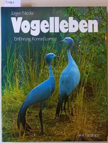 Nicolai, Jürgen: Vogelleben. Einf. Konrad Lorenz. 