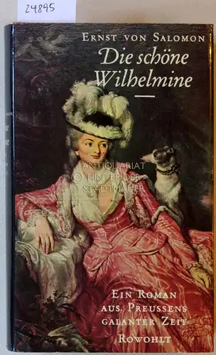 Salomon, Ernst v: Die schöne Wilhelmine. Ein Roman aus Preussens galanter Zeit. 