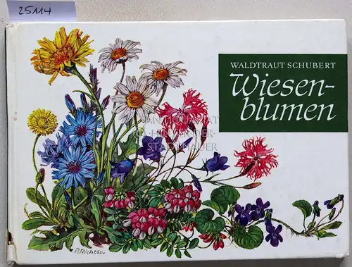 Schubert, Waldtraut: Wiesenblumen. 