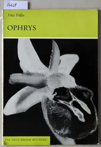 Füller, Fritz: Ophrys. Die Orchideen Deutschlands, 2. Teil. [= Die neue Brehm-Bücherei]. 