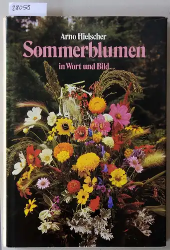 Hielscher, Arno: Sommerblumen in Wort und Bild. 