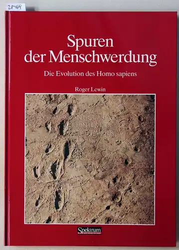 Lewin, Roger: Spuren der Menschwerdung: Die Evolution des Homo sapiens. 