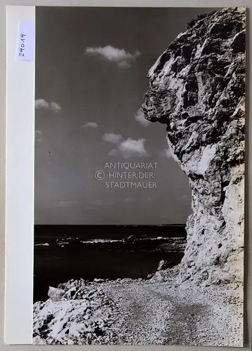 Petzold, W: Der Weg von Palaiochora (Kreta) nach W. 