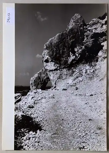 Petzold, W: Der Weg von Palaiochora (Kreta) nach Westen. 