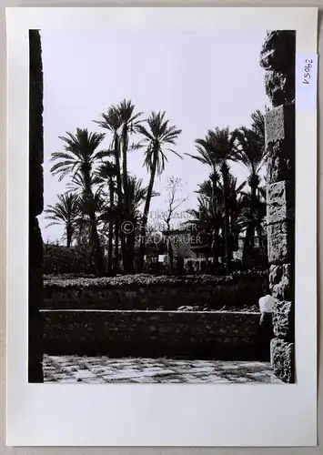 Petzold, W: Famagusta (Zypern). Bei Hagios Georgios. 