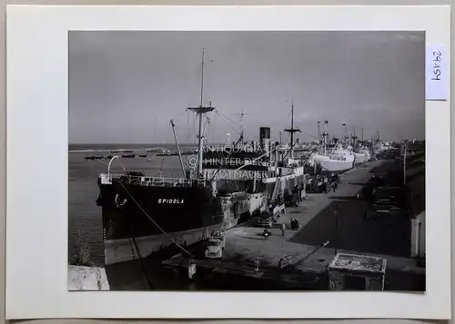 Petzold, W: Famagusta. [Zypern] Der Hafen, von der Citadelle aus. 