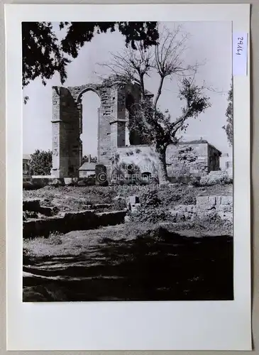 Petzold, W: Famagusta. [Zypern] St. Franziskus. 