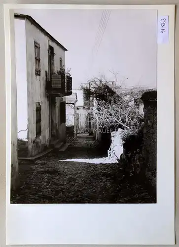 Petzold, W: In Bellapais [Zypern]. 