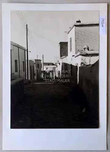 Petzold, W: In Haghios Epiktetos [Zypern]. 