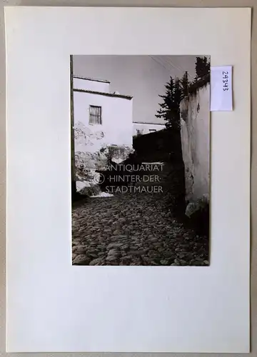 Petzold, W: In Kazaphanis [Zypern]. 