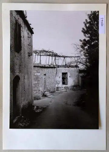 Petzold, W: In Lapithos [Zypern]. 