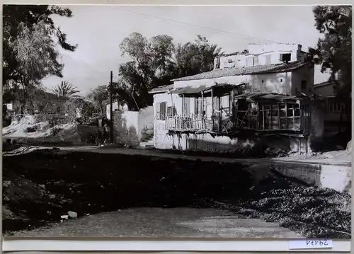 Petzold, W: In Limassol. 