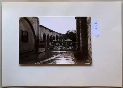 Petzold, W: Kloster Ayios Barnabas [bei Salamis/Constantia, Zypern]. 