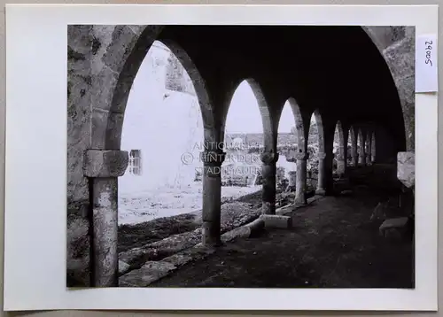 Petzold, W: Lambousa (Lapithos, Zypern). Im Kloster Acheiropoietos. 