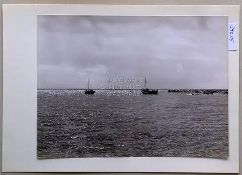 Petzold, W: Palaiochora (Kreta). Westlich der Stadt. Kleine geschützte Reede. 