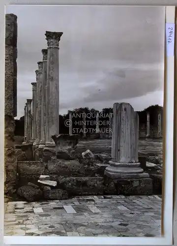 Petzold, W: Salamis [Zypern]. Palästra des Gymnasiums. 