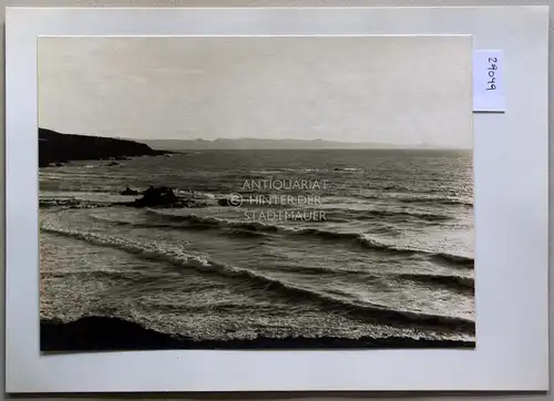 Petzold, W: Zwischen Xeros  und Polis (Zypern). 