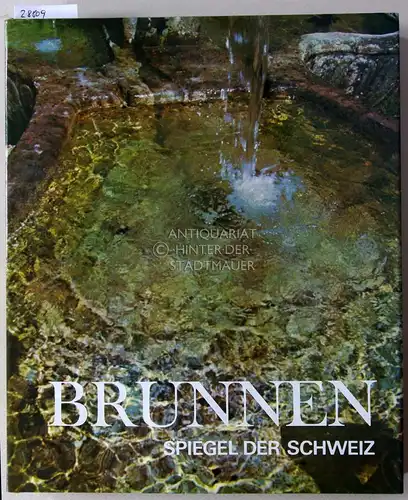 Bouffard, Pierre und René Creux: Brunnen. Spiegel der Schweiz. 