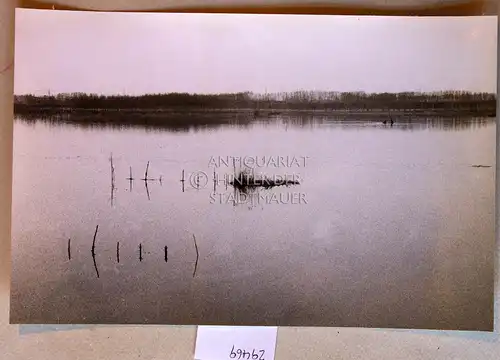 Petzold, W: [Laghi di Mantova?]. 