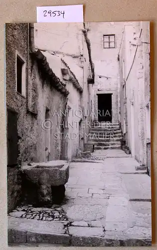 Petzold, W: Erice. Hof. 