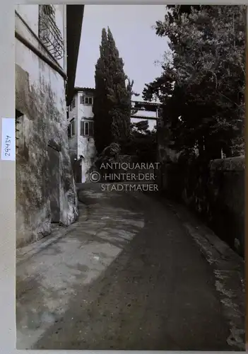 Petzold, W: Florenz. Via San Leonardo. 
