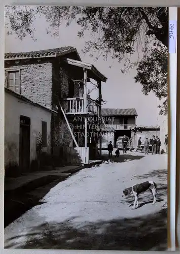 Petzold, W: In Nikitari [Distrikt Nikosia, Zypern]. 