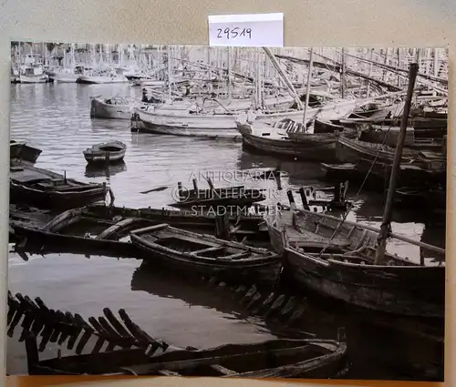 Petzold, W: Palermo, die Cala. 