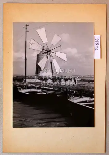 Petzold, W: Trapani. Pumpmühle in den Salinen. 