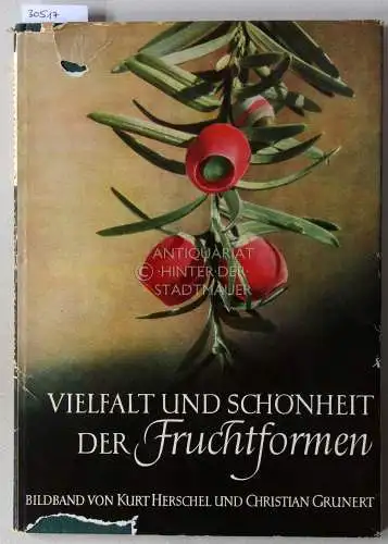 Herschel, Kurt und Christian Grunert: Vielfalt und Schönheit der Fruchtformen. 
