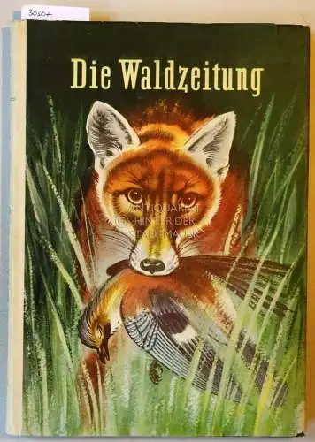 Bianki, Witali: Die Waldzeitung. Ill. nach d. Original v. Helmut Kloss. 