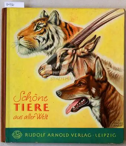 Engel-Hardt, Rudolf und Hans Petzsch: Schöne Tiere aus aller Welt. 
