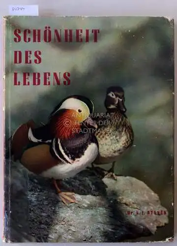 Stanek, V.J: Schönheit des Lebens. 