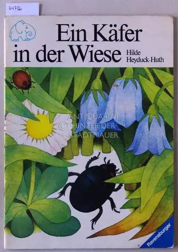 Heyduck-Huth, Hilde: Ein Käfer in der Wiese. 