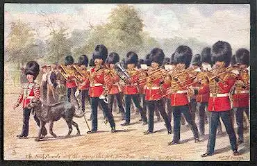 The Irish Guard. Tuck&#039;s Post Card.