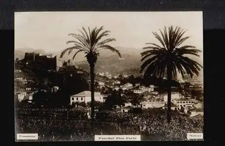 Madeira. Funchal Pico Forte.