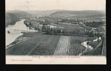 Leisnig. Blick vom Schlossturme ins Muldental.